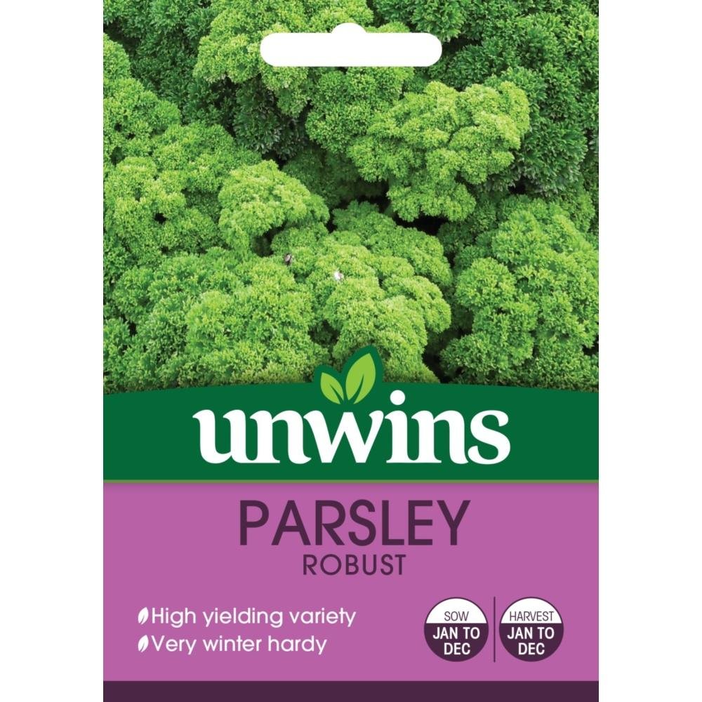 Herb Parsley Robust